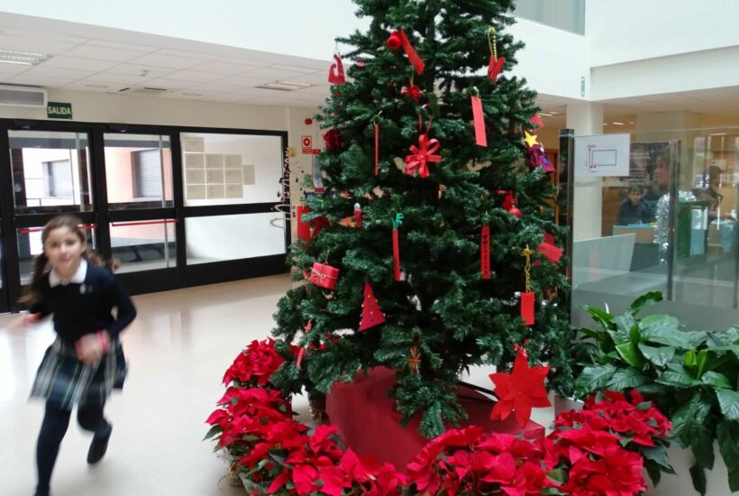 DSC02104 scaled &bull; Navidad: un tiempo de celebración, solidaridad y consumo responsable