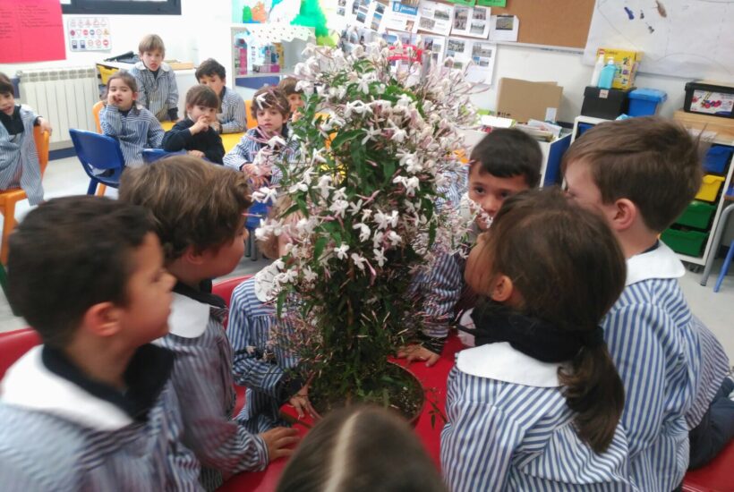 Img 3541 &bull; educación en valores: integración social a través de la jardinería y floristería