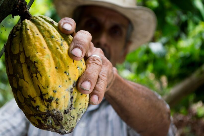comercio justo