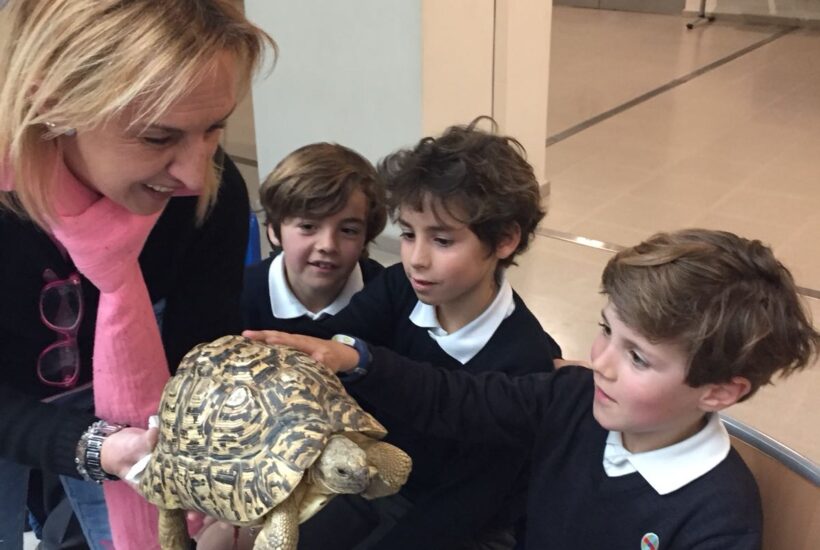Dac55895 9eb3 4564 987d 146bb0338aa4 &bull; ponemos en práctica conocimientos de ciencias en el taller de reptiles y animales exóticos